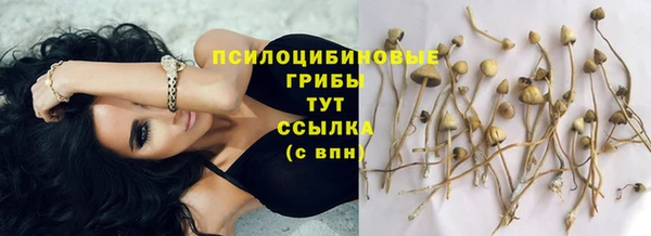 хмурый Надым