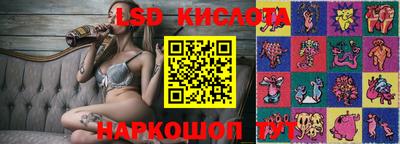 крисы Гусев