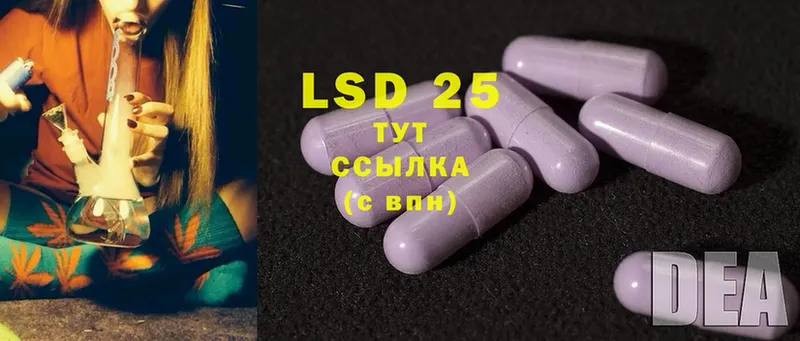 LSD-25 экстази ecstasy  Зима 