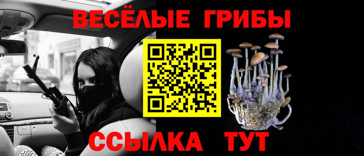 наркотики  Зима  Галлюциногенные грибы мухоморы  Псилоцибиновые грибы Cubensis 